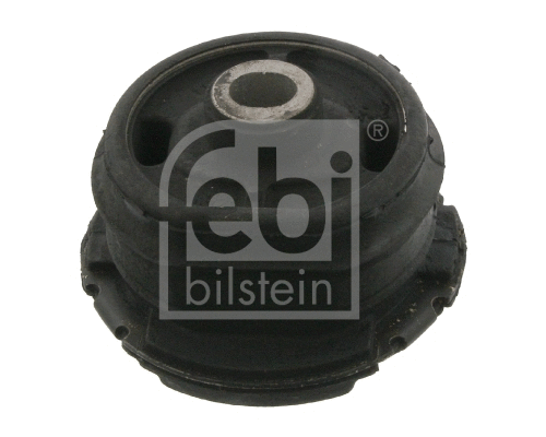 Bushing, axle beam (14897)