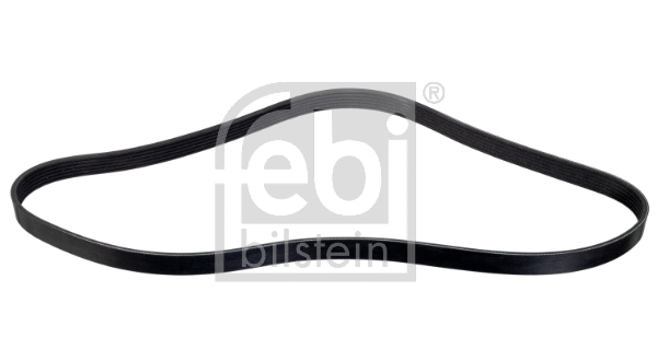 V-Ribbed Belt (176582)