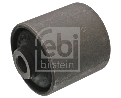 Mounting, control/trailing arm (42250)