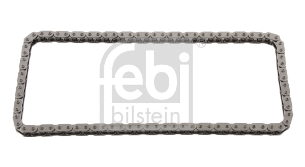 Timing Chain (28720)