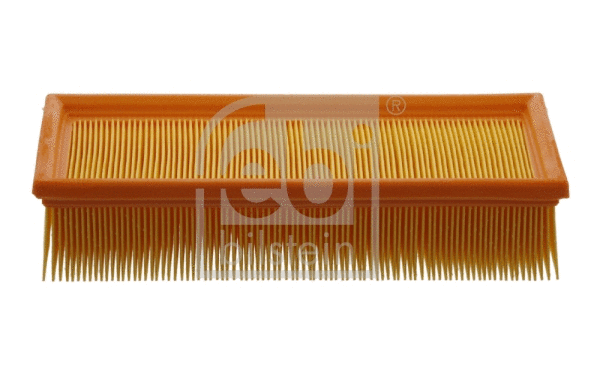 Air Filter (31308)