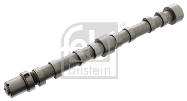 Camshaft (101997)
