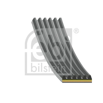 V-Ribbed Belt (179843)