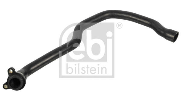 Radiator Hose (171106)