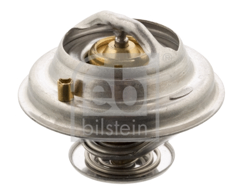 Thermostat, coolant (14771)