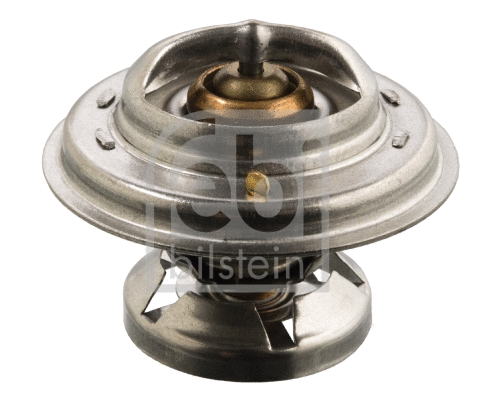 Thermostat, coolant (09698)