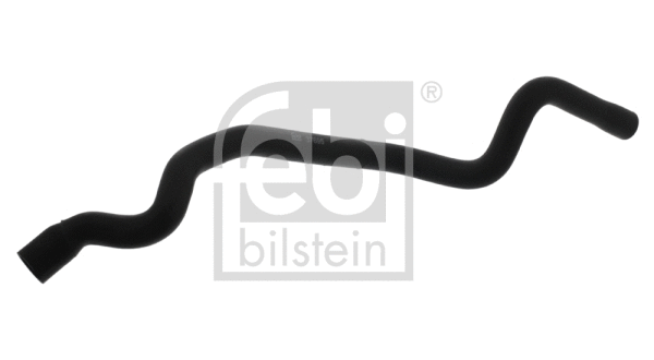 Radiator Hose (37695)