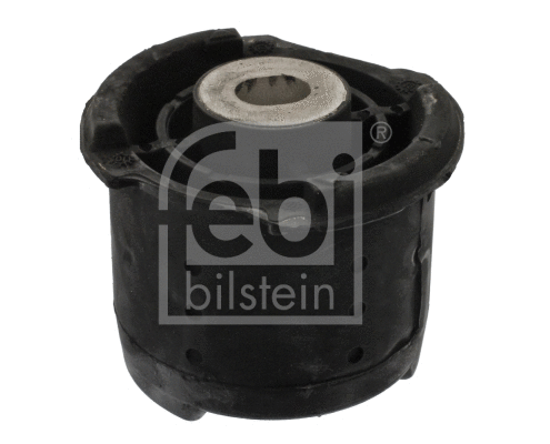 Bushing, axle beam (12627)