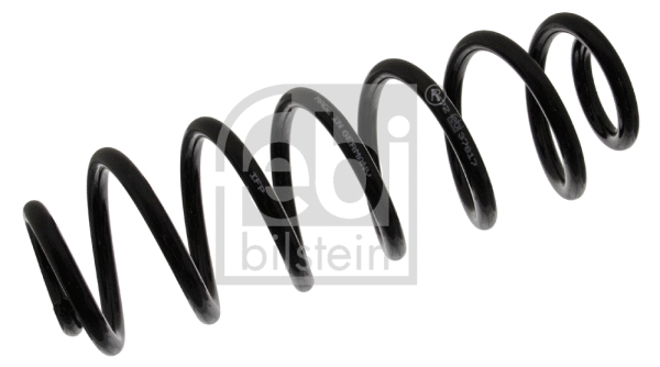 Suspension Spring (37817)