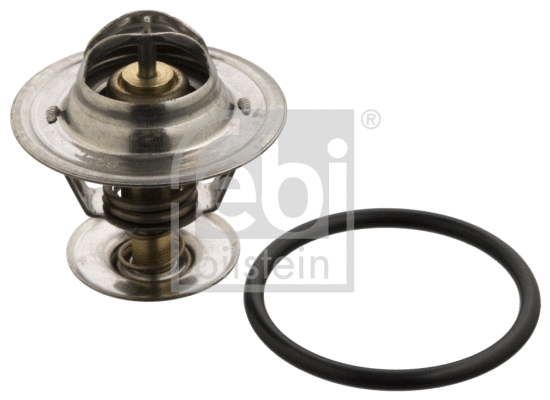 Thermostat, coolant (18282)