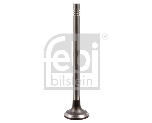 Intake Valve (175555)