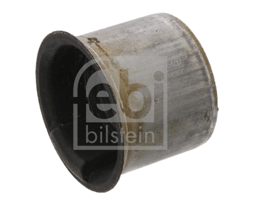 Mounting, control/trailing arm