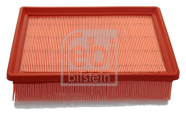 Air Filter (48466)