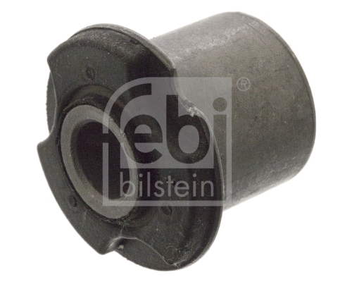 Bushing, axle beam (12051)