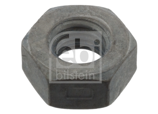Nut (07577)