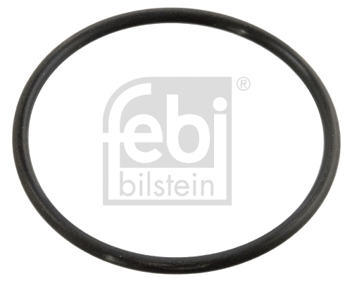 Seal, thermostat (10258)
