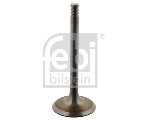 Intake Valve (37220)