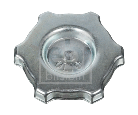 Sealing Cap, oil filler neck (12374)