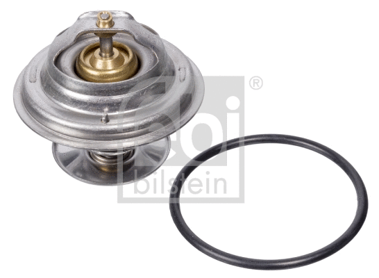 Thermostat, coolant (09671)