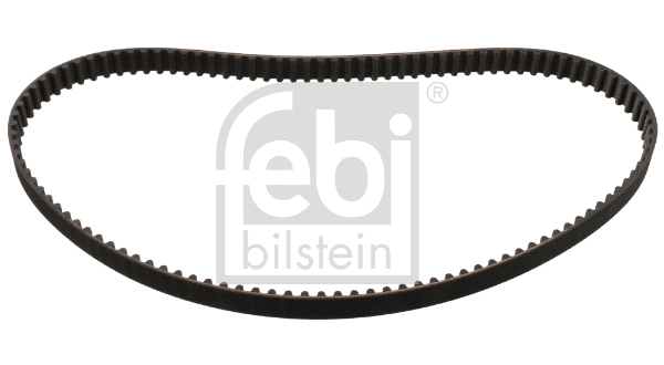 Timing Belt (11031)