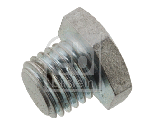 Screw Plug, oil sump (171283)