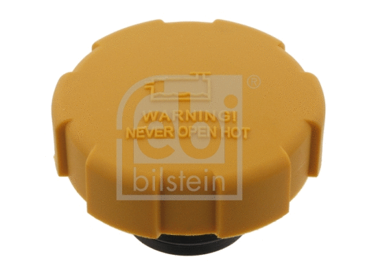 Cap, coolant tank (28490)