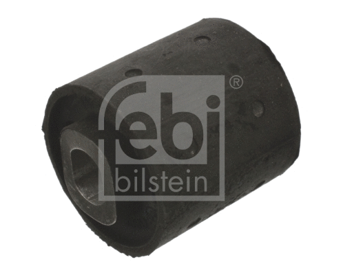 Mounting, differential (08858)