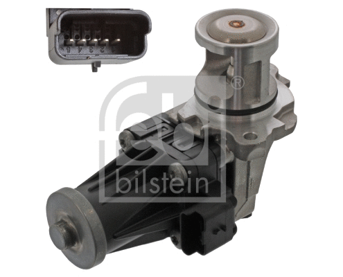 EGR Valve (45200)