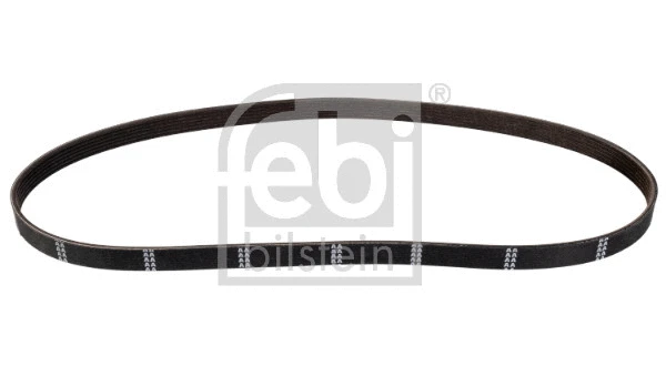 V-Ribbed Belt (177984)