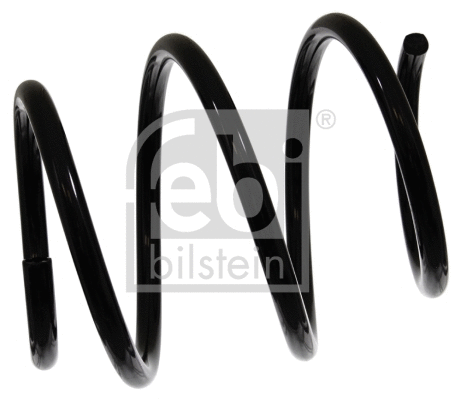 Suspension Spring (46830)