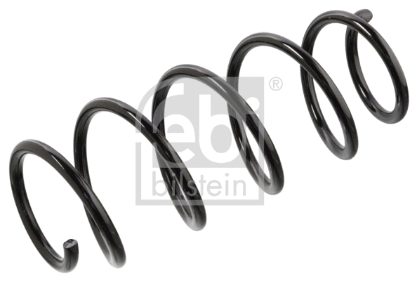 Suspension Spring (104701)