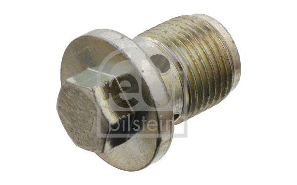 Screw Plug, oil sump (48883)