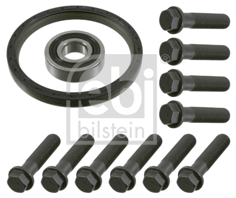 Repair Kit, flywheel (18861)