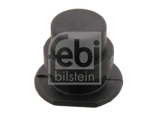 Sealing Plug, coolant flange (12407)
