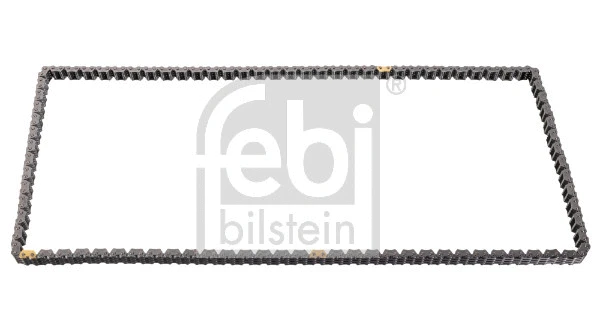 Timing Chain (179465)