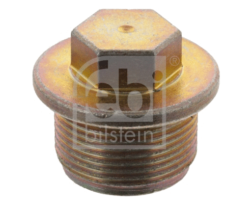 Screw Plug, oil sump (19294)