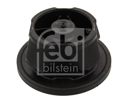 Fastening Element, engine cover (40836)