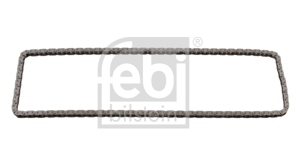 Timing Chain (29868)