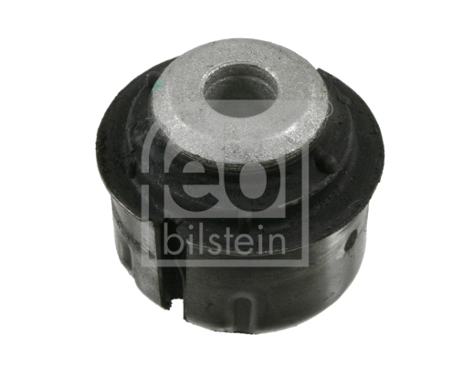 Mounting, control/trailing arm (06353)