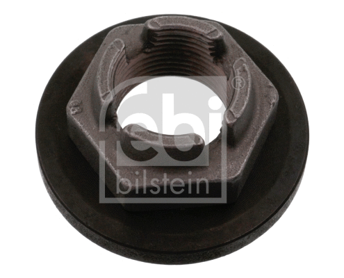 Nut, stub axle (18695)