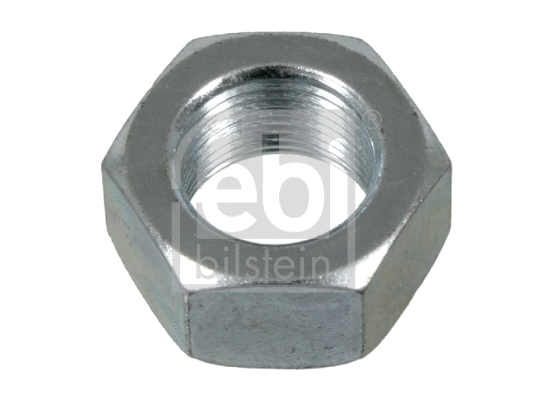 Nut (01561)