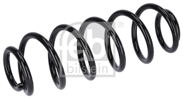 Suspension Spring (181303)