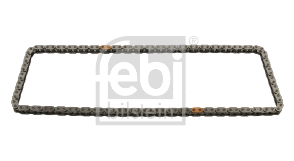 Timing Chain (30499)