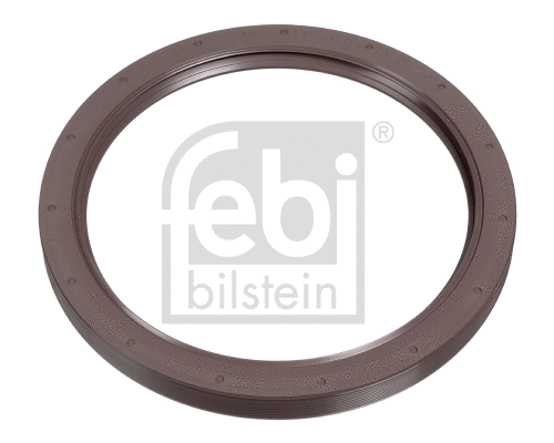 Shaft Seal, wheel hub (24761)