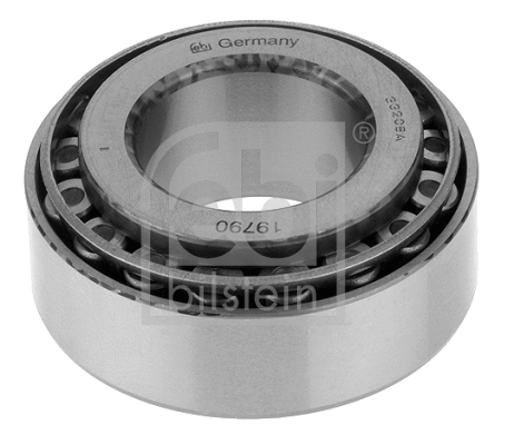 Wheel Bearing (19790)