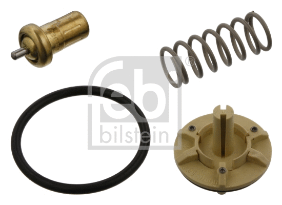 Thermostat, coolant (36844)