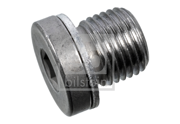 Screw Plug, transmission housing (173874)