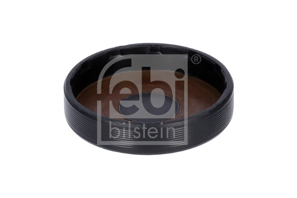 Plug, rocker arm shaft mounting bore