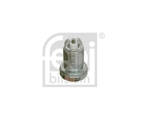 Spark Plug