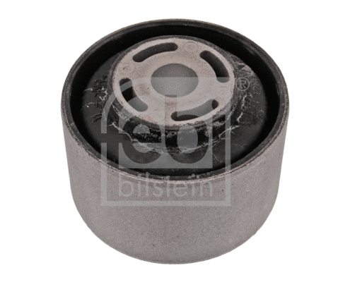 Mounting, differential (45904)